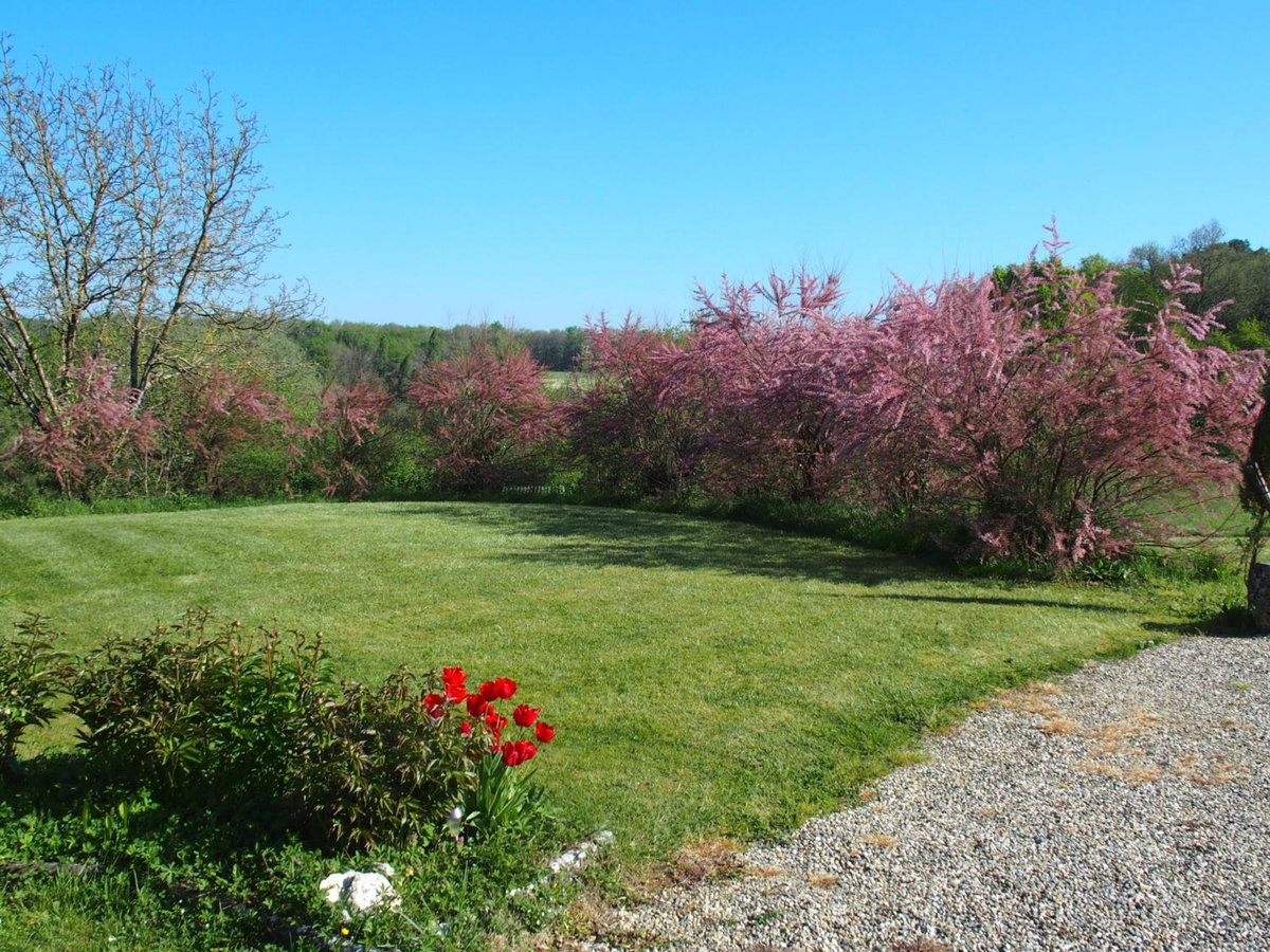 Hotel · les tamaris, Castelnau-sur-Gupie