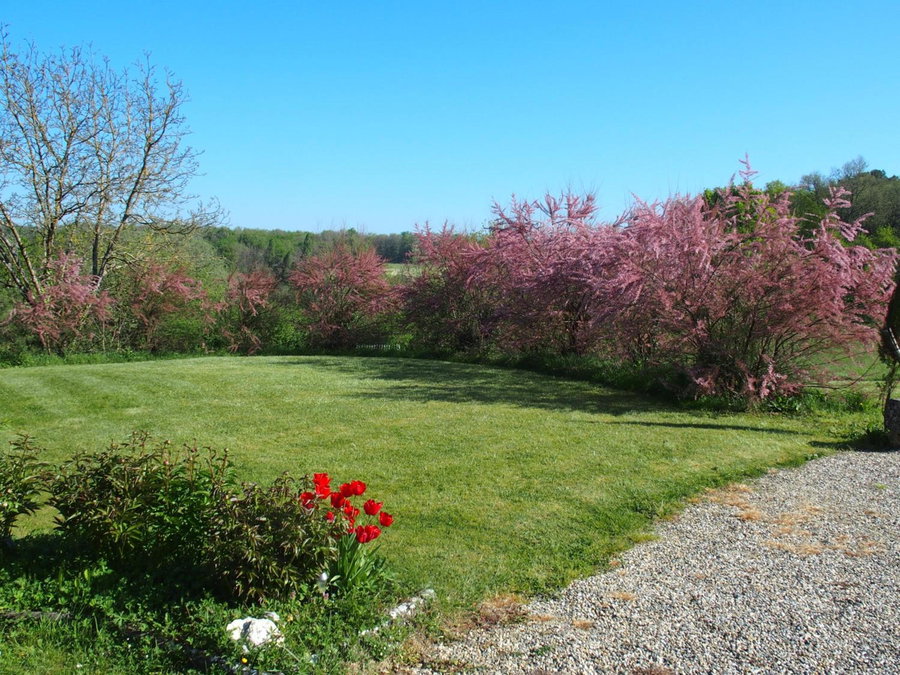 les tamaris, Castelnau-sur-Gupie, France