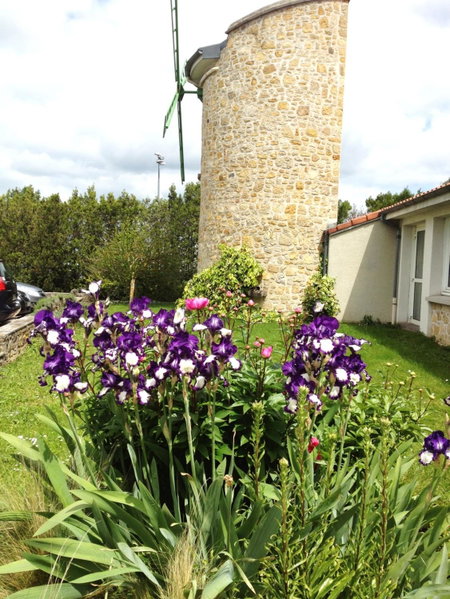 LOGIS Hôtel Le Moulin Des Gardelles, Riom, France