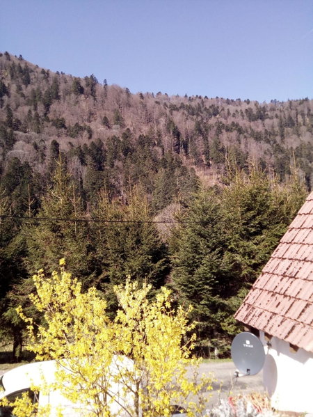L Annexe, Mittlach, France
