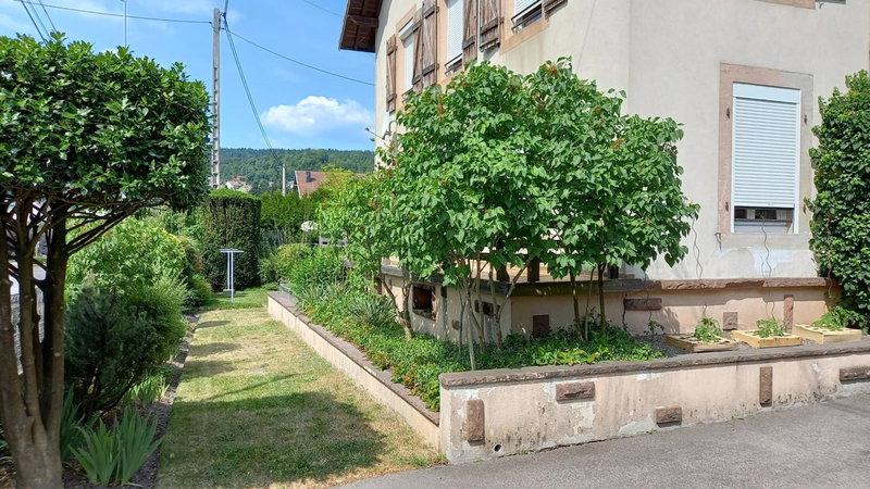 Studio d'hôtes à 10 km de Gérardmer (Le Tholy), Le Tholy, France