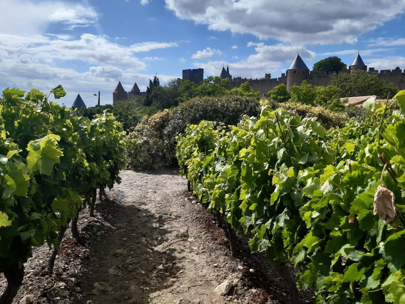 Domaine Fontgrande Gîte, Carcassonne, France