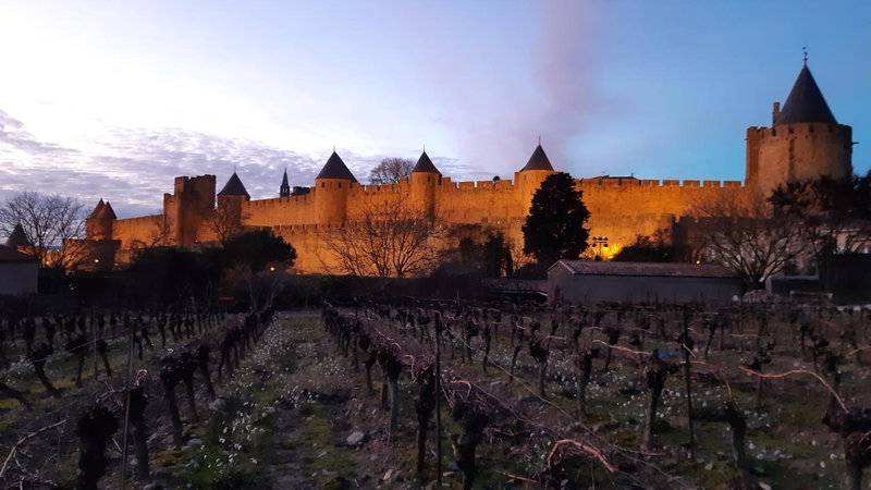 Domaine Fontgrande Gîte, Carcassonne, France
