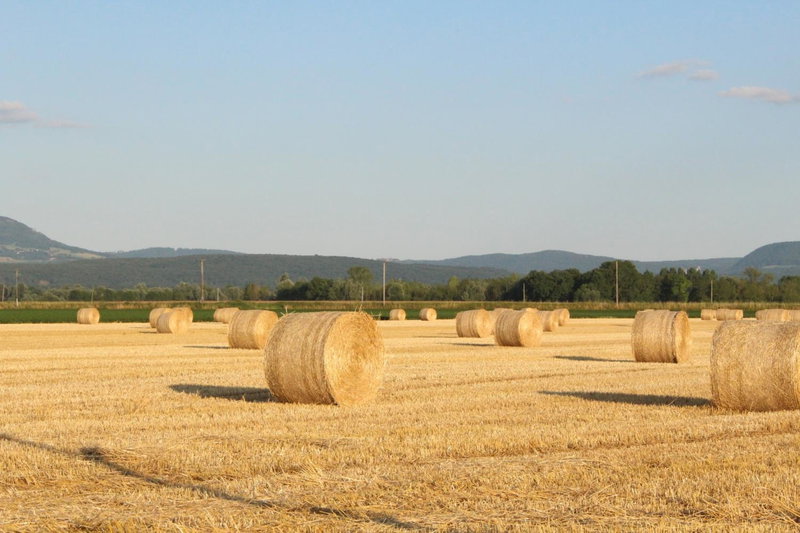 La Roulotte au Paradis, Arc-et-Senans, France