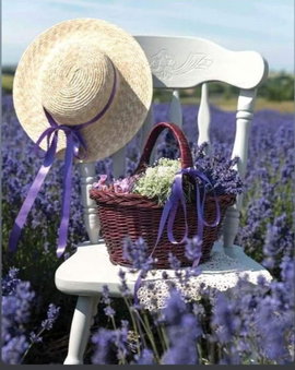 Grange Voutée avec jardin, Mane, France