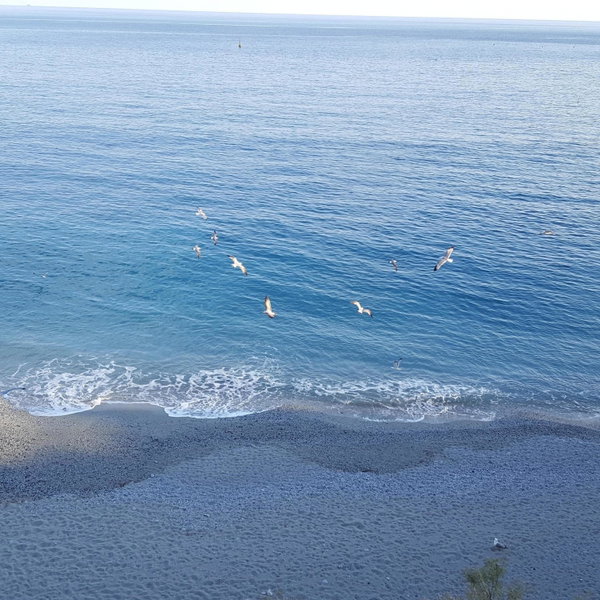 La Terrazza sul Mare Affittacamere, Monterosso al Mare, Italy