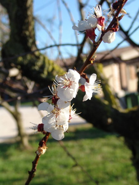 Podere 1248, Ladispoli, Italy