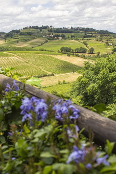 Hotel Torciano Vecchio Asilo, San Gimignano, Italy