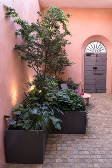 Antica Dimora Le Misure, Cervia, Italy