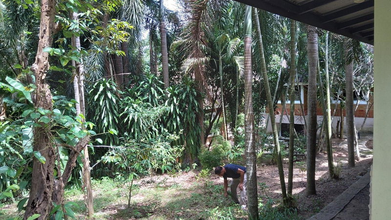 Wilai Villa Lamai, Lamai, Thailand