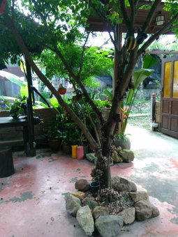 RueanPhen Homestay, Amphawa, Thailand