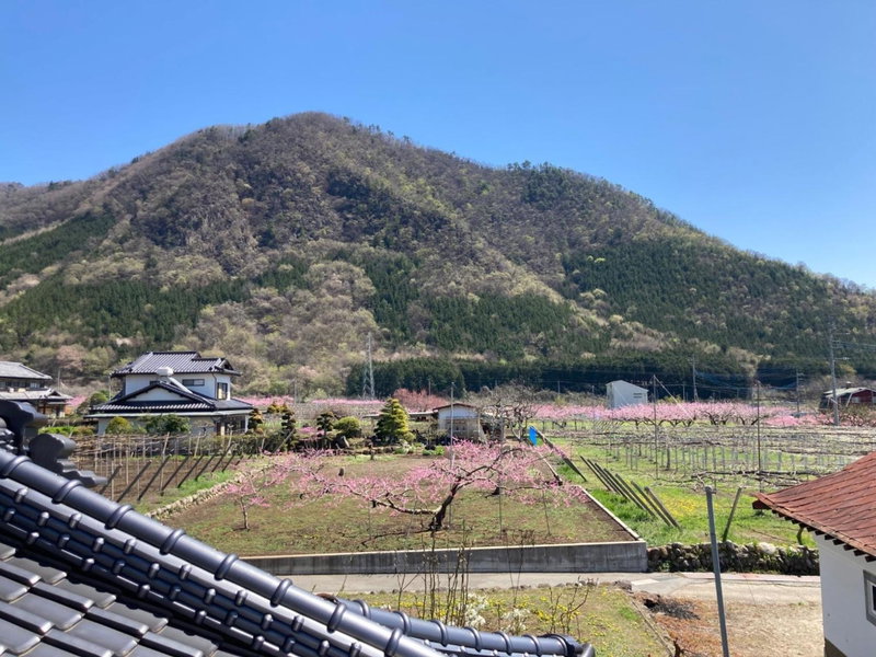 B&B Ladies Only Grape mama Grape room - Vacation STAY 11649, Koshu, Japan