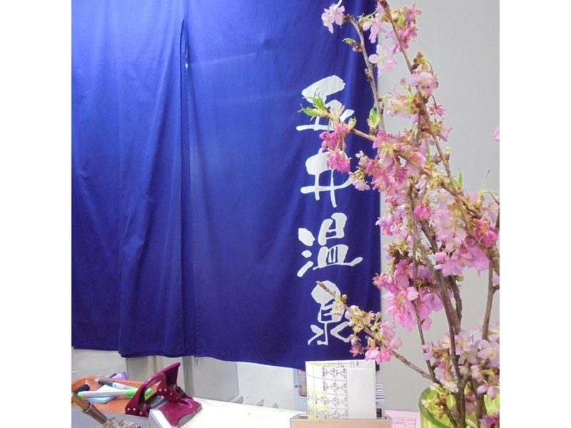 Business Hotel Goi Onsen - Vacation STAY 78233v, Ichihara, Japan