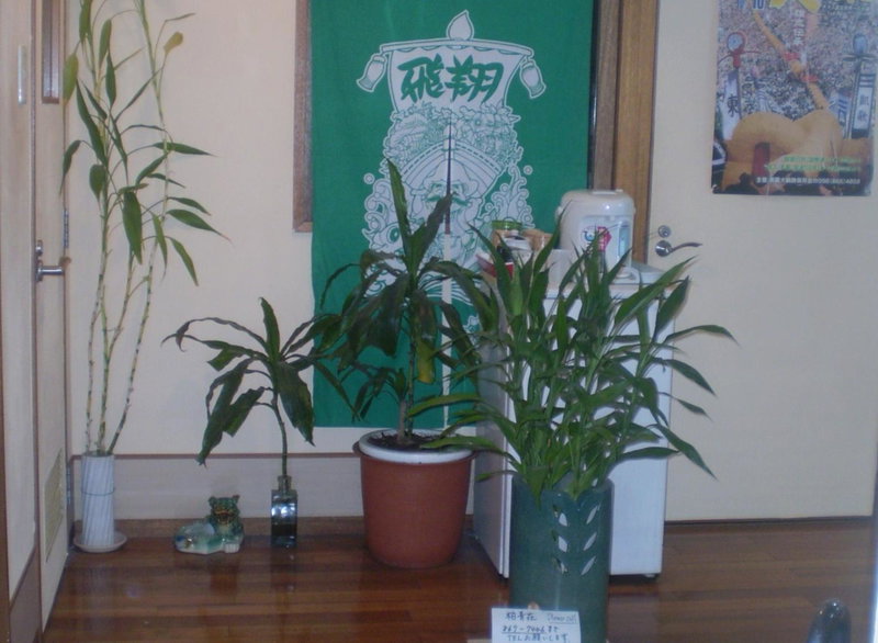 Hostel Hakuseiso, Naha, Japan