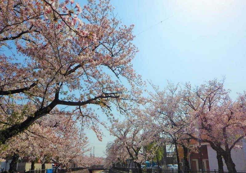 Ichinomiya City Hotel, Ichinomiya, Japan