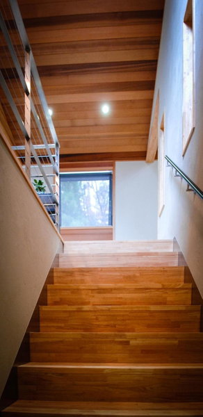 Phoenix Cocoon by HHG, Hakuba, Japan