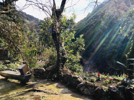 Kominkayado Netsuki no ii Kitsune - Vacation STAY 27812v, Shimanto, Japan