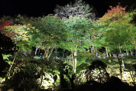Sora Togetsusoukinryu, Izu, Japan