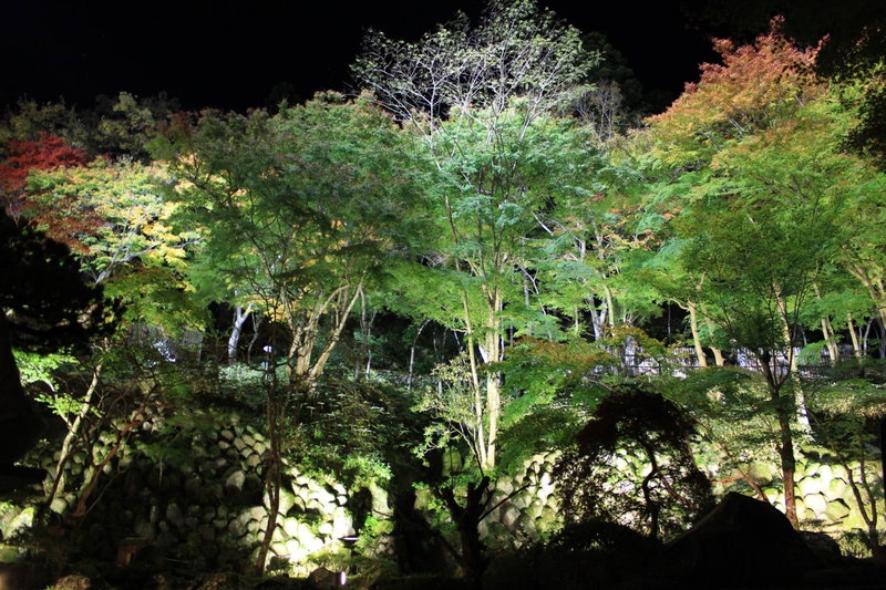 Sora Togetsusoukinryu, Izu, Japan