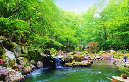 Sora Togetsusoukinryu, Izu, Japan
