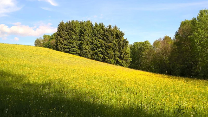 Ferien vom Ich, Bayerischer Wald, Hotel & Restaurant, Neukirchen, Germany