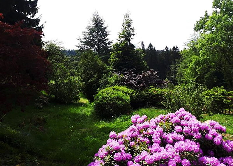 Green Corner Nürburg, Nürburg, Germany