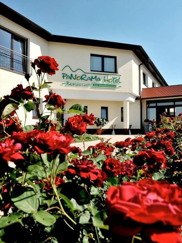 Panorama Hotel am Frankenstein, Germany