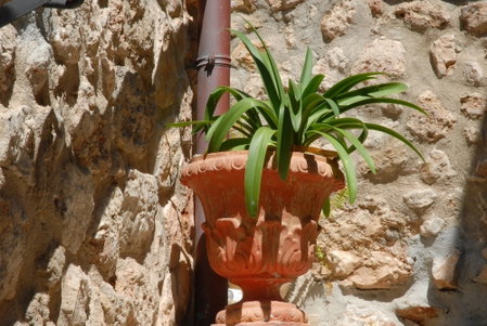 Sa Vall Turismo de Interior, Valldemossa, Spain