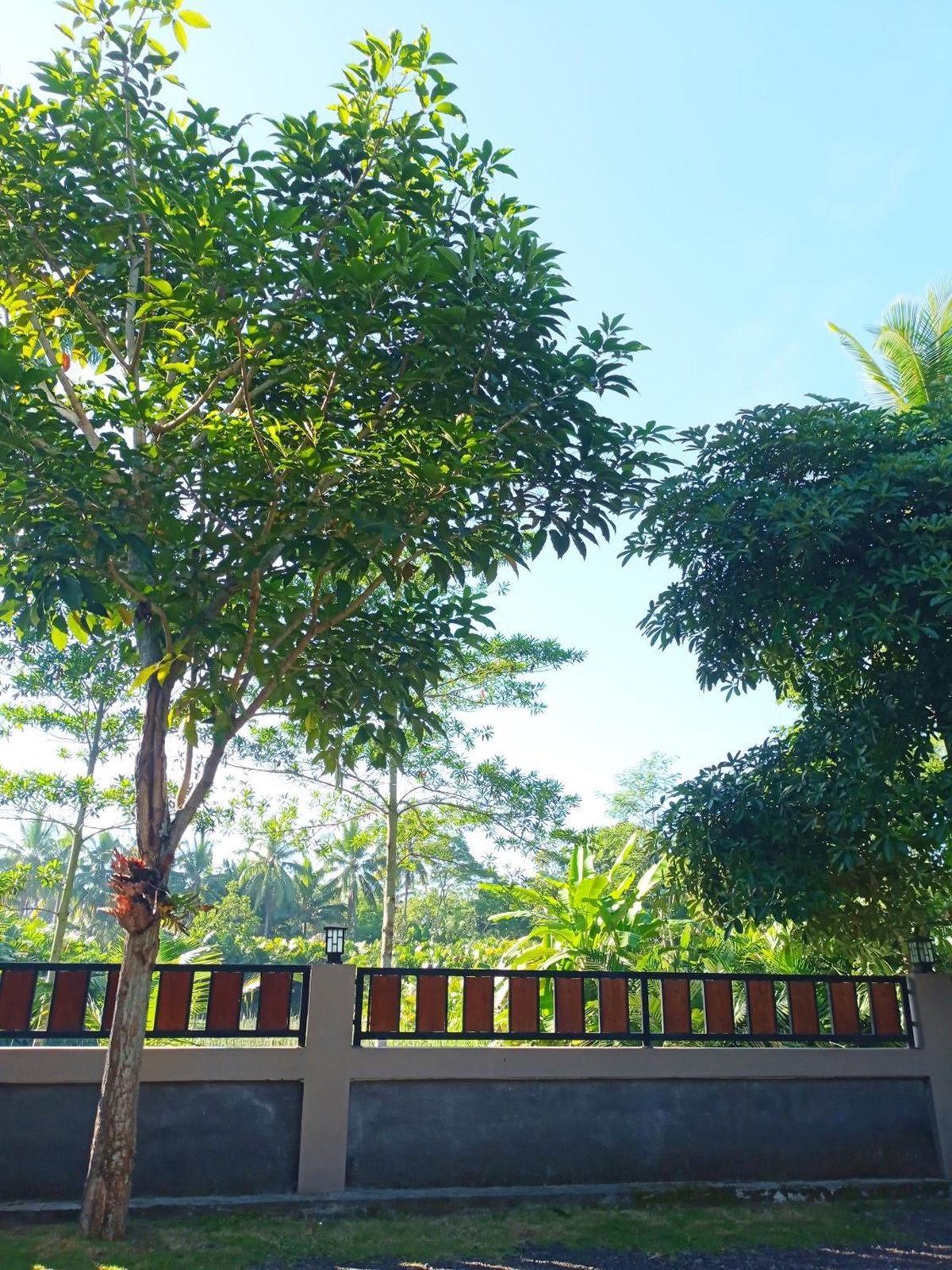 Angler Homestay & Joglo, Indonesia