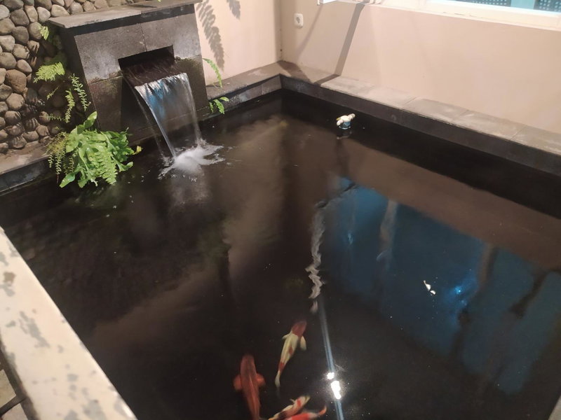 V living, Yogyakarta, Indonesia