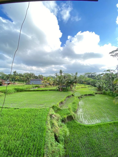 Casa De Arya, Bedahulu, Indonesia