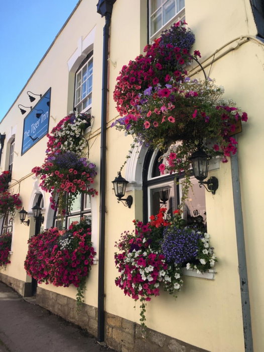 tiger inn, Bridport, United Kingdom