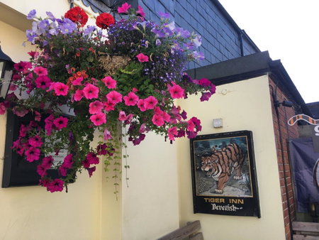 tiger inn, Bridport, United Kingdom