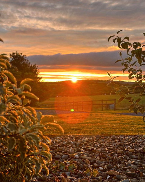 Parcglas - Hazel, St Clears, United Kingdom