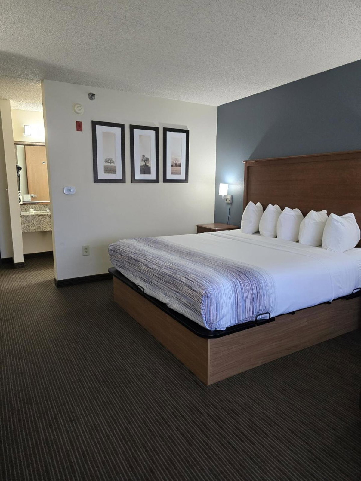 AmericInn by Wyndham Windsor Ft. Collins, United States