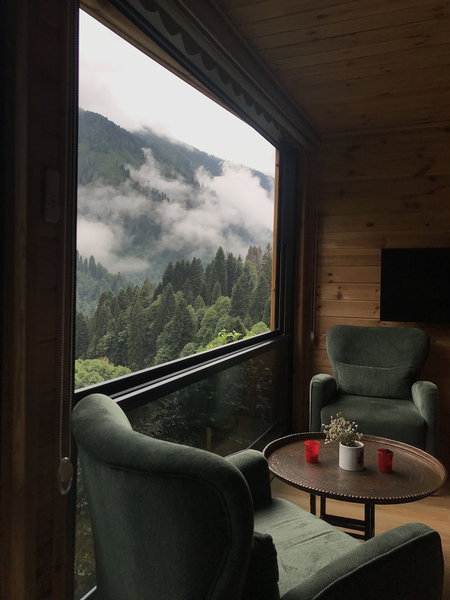 Ayder Dag Evi, Camlihemsin, Turkey