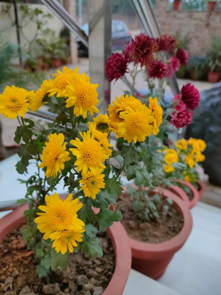 Hotel Karan Vilas, Agra, India