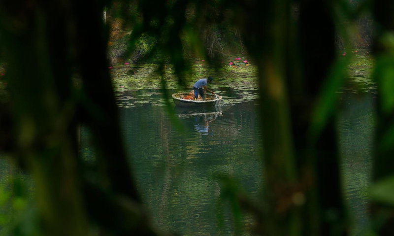 Vista Del Lago - Lakeview Homestay, Ambalavayal, India