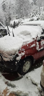 Sejal Homestay, Shimla, India