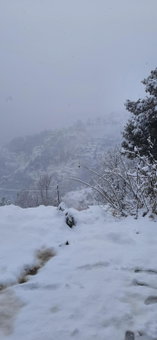 Sejal Homestay, Shimla, India