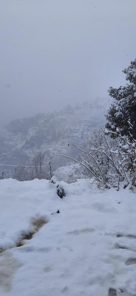 Sejal Homestay, Shimla, India