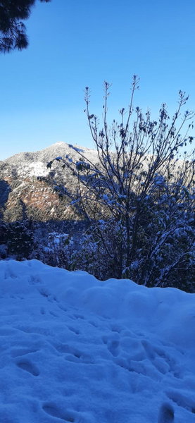 Sejal Homestay, Shimla, India