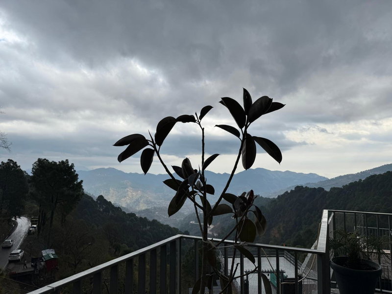 OREN Kasauli, Kasauli, India