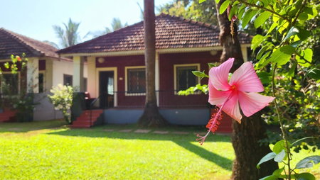 Garden Villa, Vagator, India