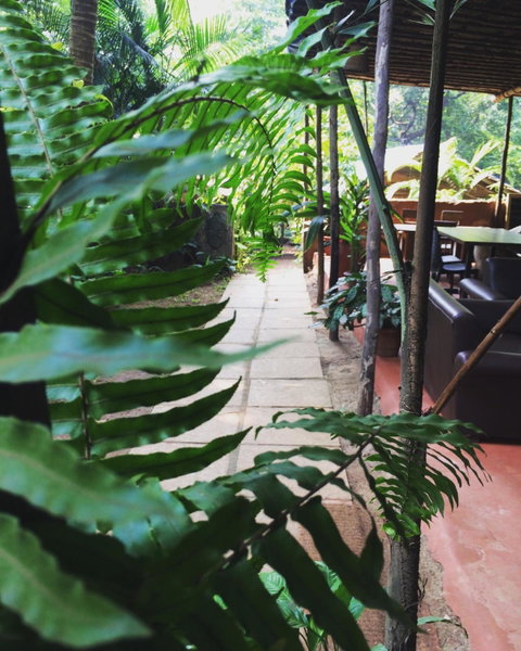 Namaste Jungle - A Boutique Homestay, Assagao, India