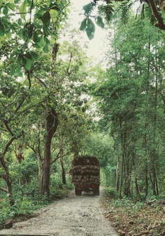 Beyond Eco Living, Munnar, India