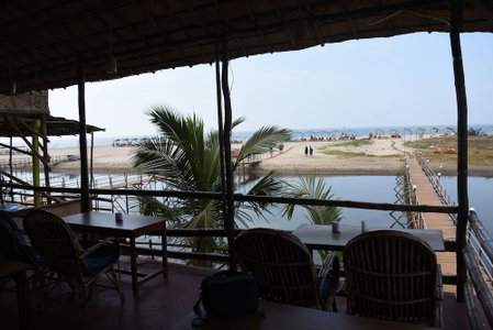 Molly's Nest, Mandrem, India