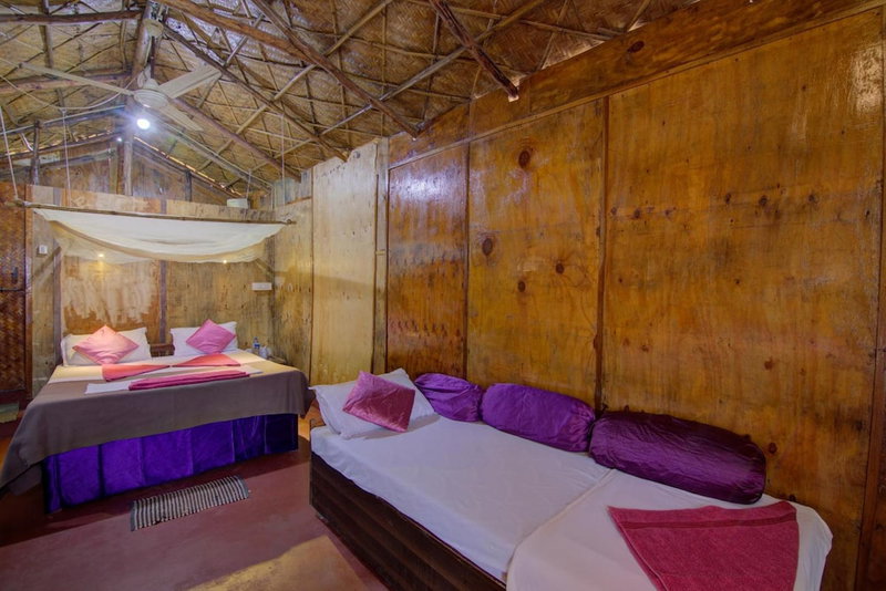Molly's Nest, Mandrem, India