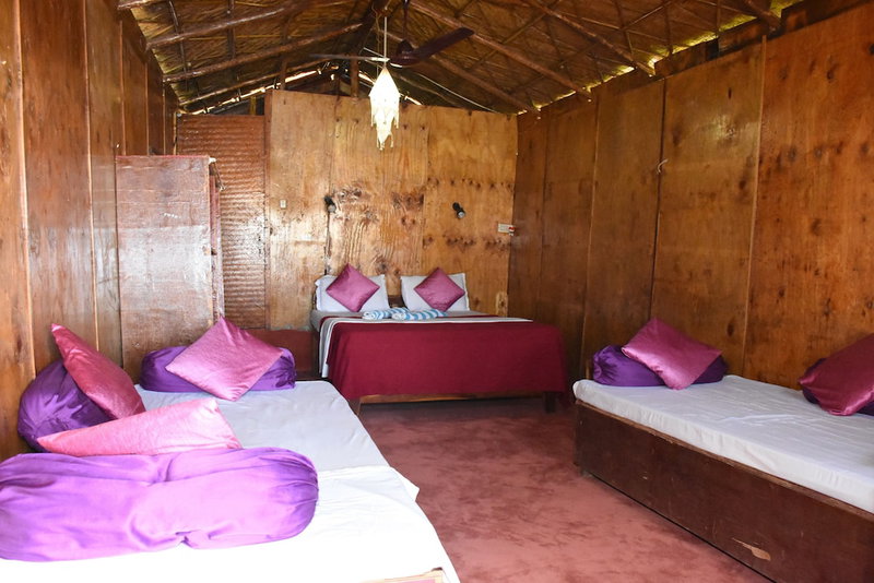 Molly's Nest, Mandrem, India