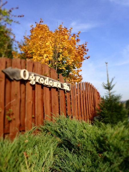 Domek BB, Podgórzyn, Poland